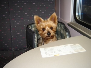 Met de trein