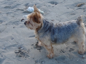 Aan het strand