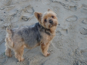 Nog aan het strand