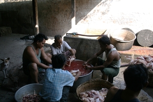 Amarapura : coq au vin ?
