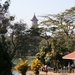 National Kandawgyi gardens