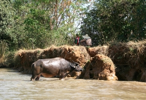Laag water