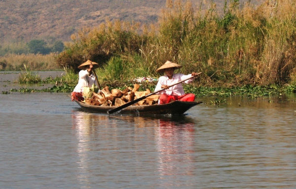 Vrouwen komende van de markt