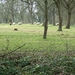20100324.St.Truiden(FD) 078