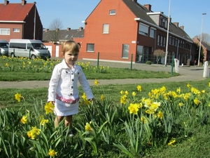 Paasbloem