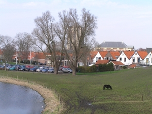 Zierikzee D 037