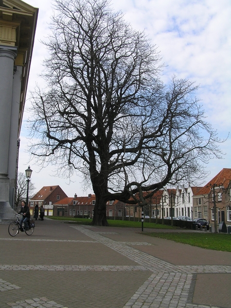 Zierikzee D 038