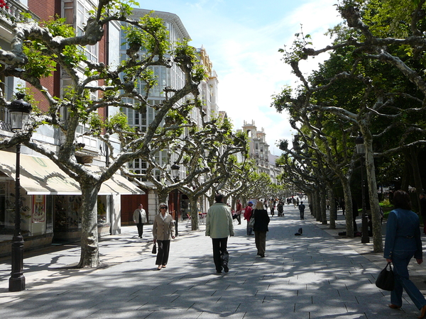 Castilla-Leon / Burgos