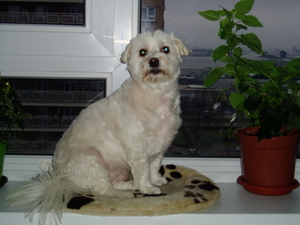 ik woon wel op het 11e maar kan toch aan het raam zitten hoor