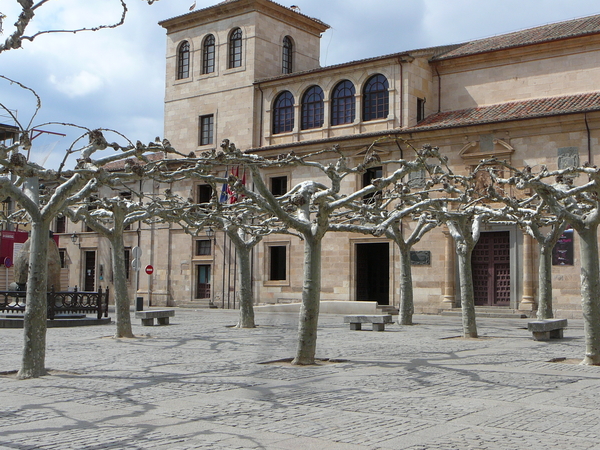 Castilla-Leon / Zamora