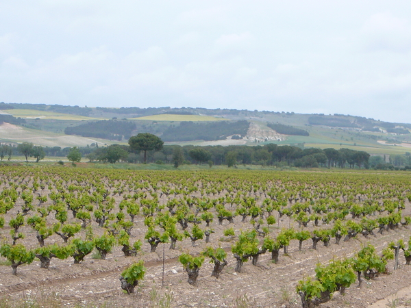 Castilla-Leon / Valladolid