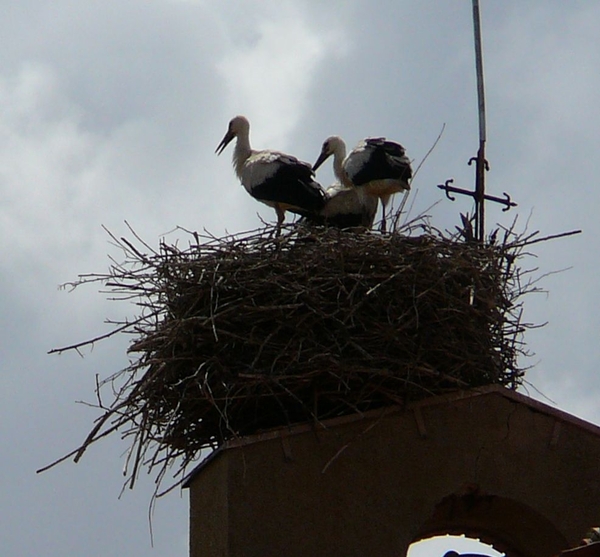 Castilla-Leon / Valladolid