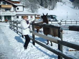 Hannelore en de lama's