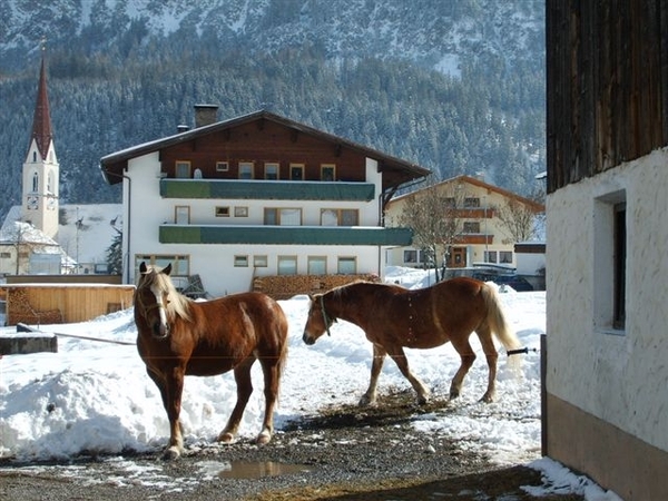 Tirol mailgroep reizen 2010