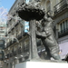 Madro�o