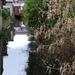 DSC_0002 STAPPEN AAN HET MINNEWATER...
