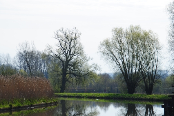 DSC_0019