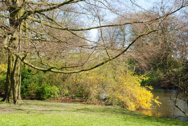 DSC_0040