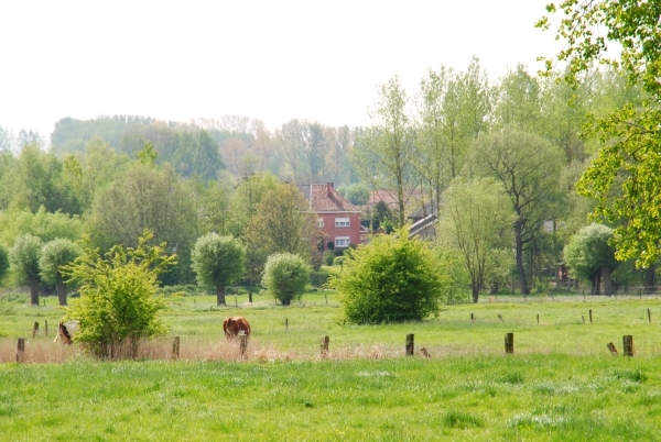 DSC_0005