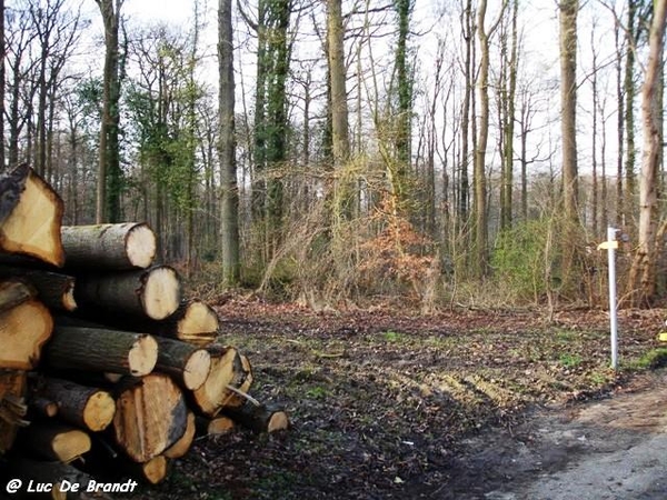 Activia wandeling De Vossen Buggenhout
