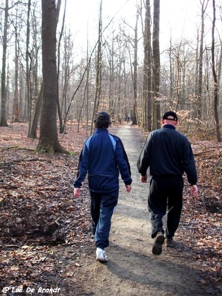Activia wandeling De Vossen Buggenhout