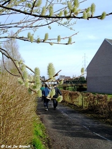 2010_03_28 Buggenhout 13