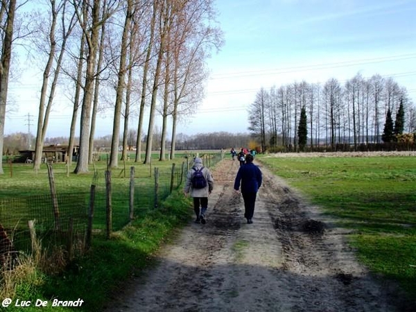 Activia wandeling De Vossen Buggenhout