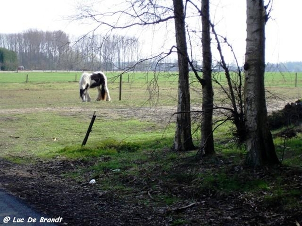 Activia wandeling De Vossen Buggenhout