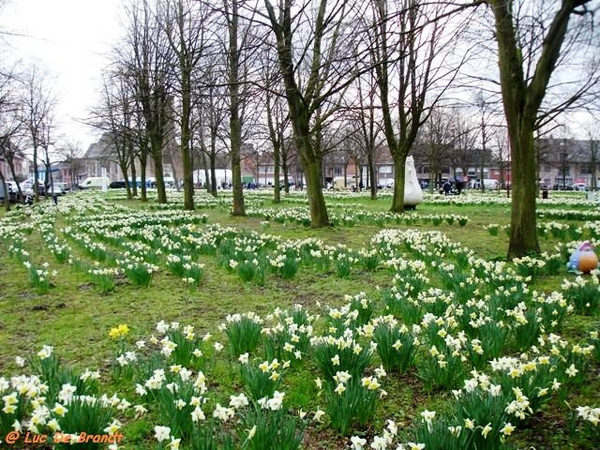 Activia wandeling De Vossen Buggenhout