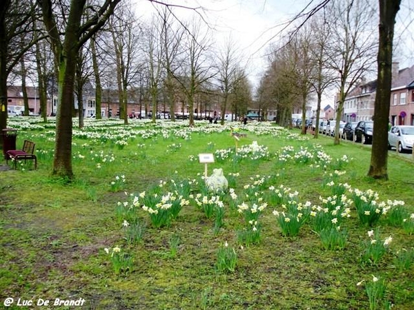 Activia wandeling De Vossen Buggenhout