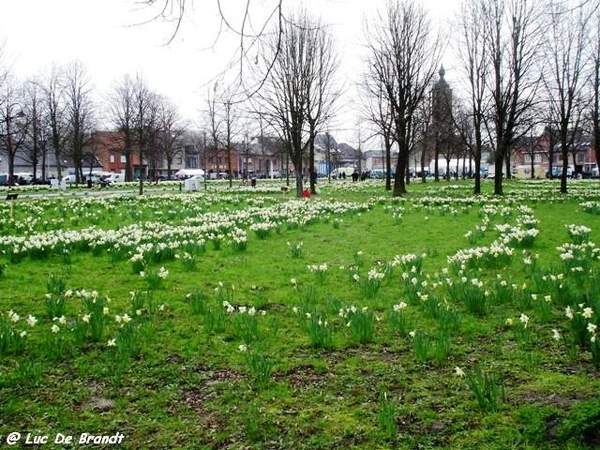 Activia wandeling De Vossen Buggenhout