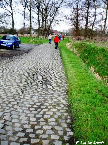 Activia wandeling De Vossen Buggenhout