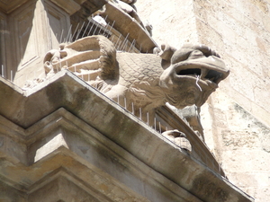 Murcia Catedral