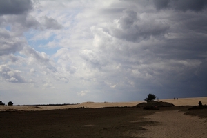 2010_03_28_2014