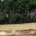 2010_03_28_2047