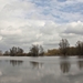 Millingerwaard