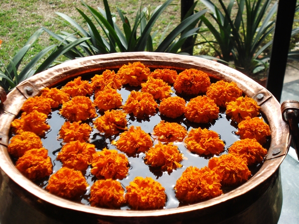 NEPAL 2 613