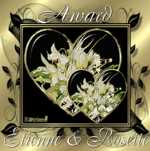awardetienneenrosette2qa8