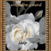 awardjaap