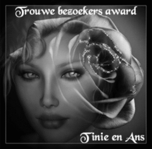 awardtinie6