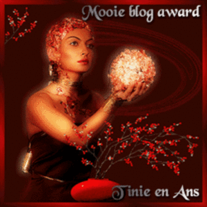 awoard mooi blog tinie