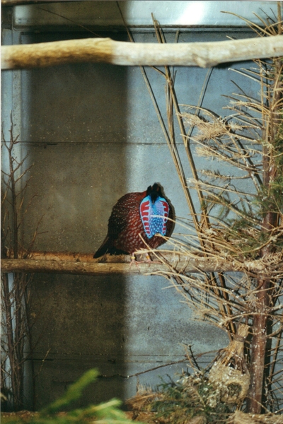 05-04-2010 10;55;39 - kopie - kopie