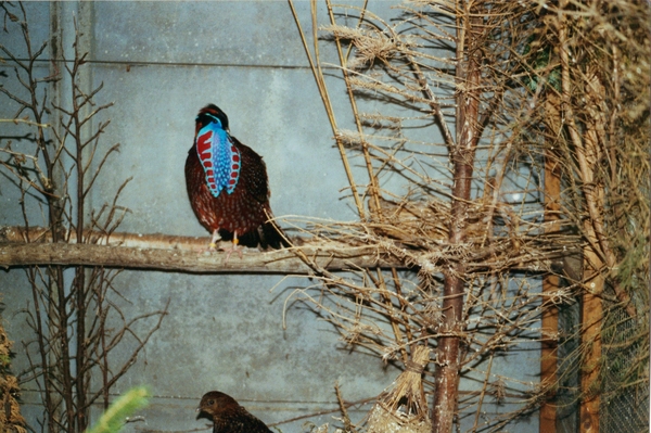 05-04-2010 11;00;13 - kopie - kopie