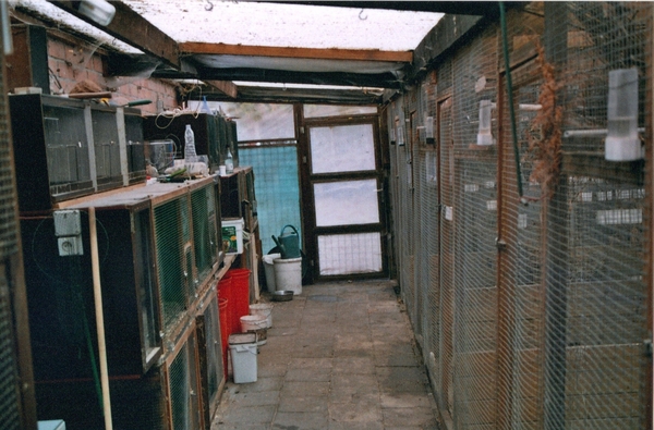 05-04-2010 11;24;50 - kopie