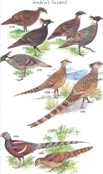 11-02-2010 11;21;51 - kopie