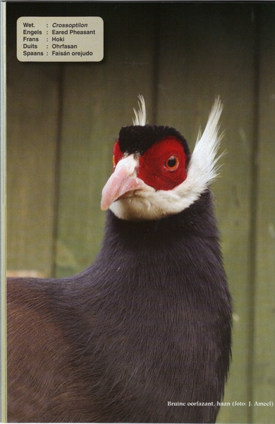 27-01-2010 11;06;35 - kopie