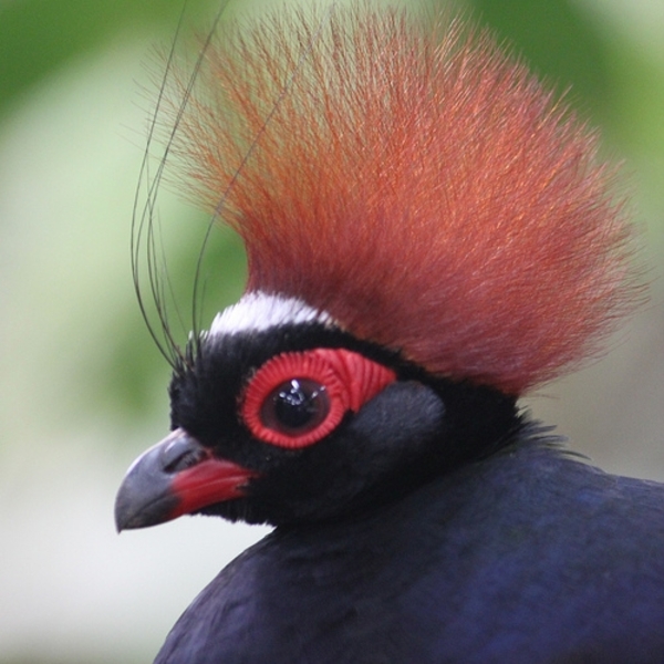 3784850216_b54e4a8d4a[1]