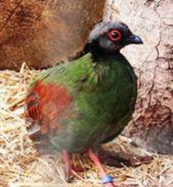 858505_f_1d9f842c48bea7b8b8ca77025709fc61[1]