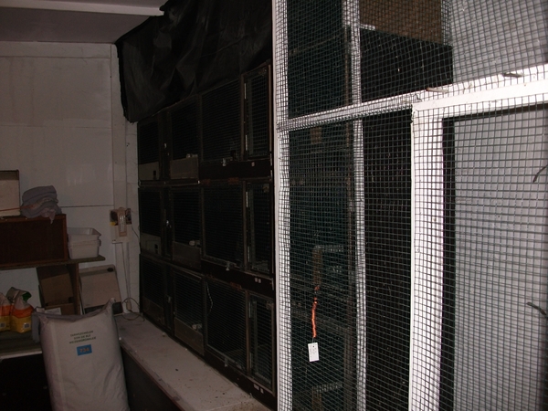 afbeeldingen 008 - kopie