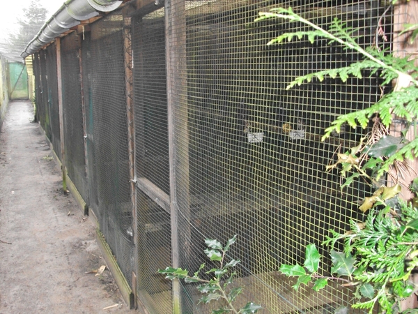 afbeeldingen 015 - kopie - kopie